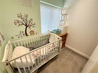 Picture 24